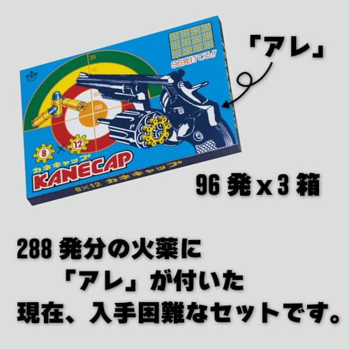 カラスよけ 最後 画像