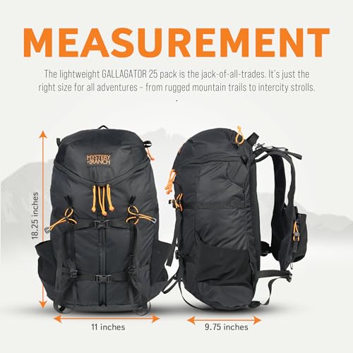 [ミステリーランチ] ギャラゲーター 25 ブラック L/XL 19761599001007 中間 画像