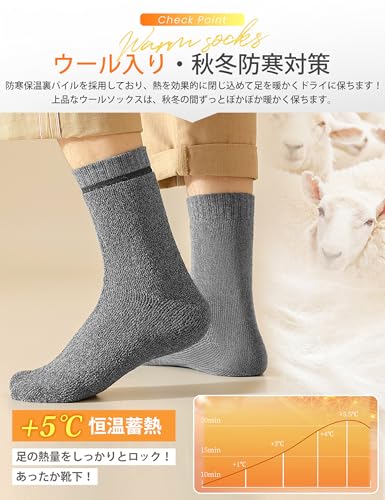 [SLEEPSINERO] 靴下 メンズ 冬 あったか 厚手 【40℃恒温蓄熱裏パイル・極暖ウール】 防寒保温 暖かい 抗菌消臭 吸汗 伸縮 締め付けない メンズ靴下 ソックス アウトドア 登山 5足セット 秋冬用 (セット3) 中間 画像