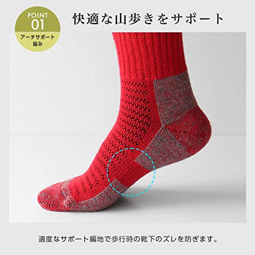 [NAIGAI] メリノウール 登山 ソックス MOUNTAINEERING SOCKS 山登り トレッキング ロングトレイル スキー スノーボード クルー丈 毛混 抗菌防臭 パイル編み メンズ＆レディース ソックス 靴下 男性 女性 紳士 婦人 プレゼント ギフト 90301018 (25-27cm, 16.レッド) 中間 画像