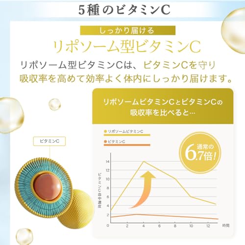 キテン リポソームビタミンC サプリメント 2000mg 特許成分配合 マルチビタミン 超吸収 医師監修 日本製 KITEN 120粒 30日分の特徴・詳細 画像