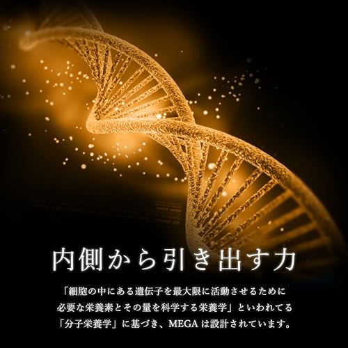 VAVAV MEGA パフォーマンスサプリ メガビタミン ビオチン マルチビタミン ミネラル サプリメント 完全栄養食 分子栄養学設計 1粒凝縮 最大125倍 サプリ 90粒の特徴・詳細 画像
